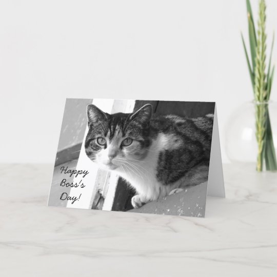 Happy Boss's Day Cat greeting card | Zazzle.com