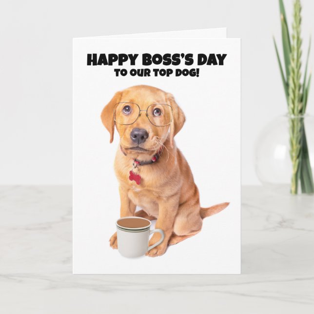 Happy Boss's Day Top Dog Humor Holiday Card (Front)