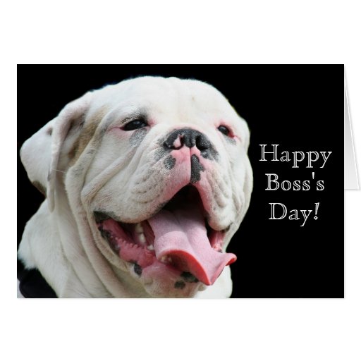 Happy Boss's Day White Bulldog greeting card | Zazzle