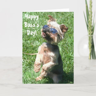 Cachorro Cards Zazzle Hy Boss S Day Yorkshire Terrier Greeting Card