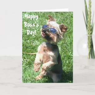 Happy Boss's Day yorkshire terrier greeting card