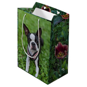 Happy Boston Terrier with Flowers Photography  Medium Gift Bag