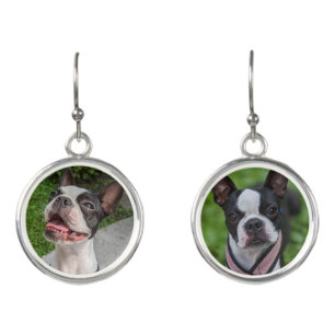 Happy Boston Terriers Photography  Earrings