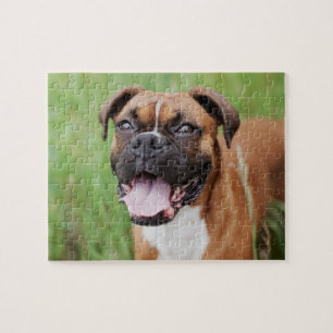 Happy Boxer 8x10 Jigsaw Puzzle