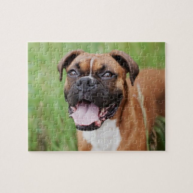 Happy Boxer 8x10 Jigsaw Puzzle (Horizontal)