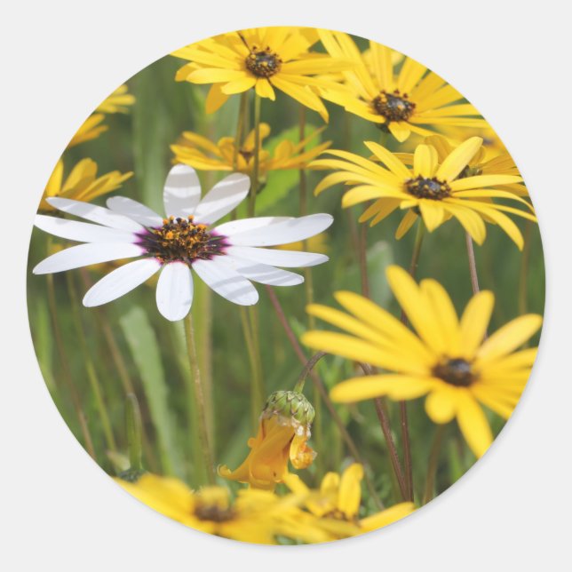 Happy Bright Yellow Flowers Wedding Favor Sticker (Front)