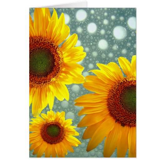 Happy Bubbly Sunflowers Cards (Front)