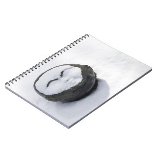 Happy Buddha With Snow Facial Notebook