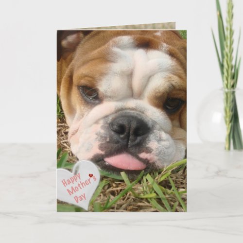 happy bulldog mothers day card