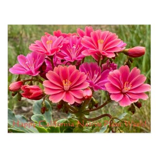 Happy California Native Plant Week! Postcard