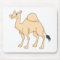 Happy Camel Cartoon