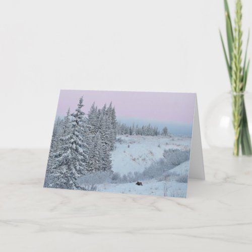 Happy card with snow spruce and moose