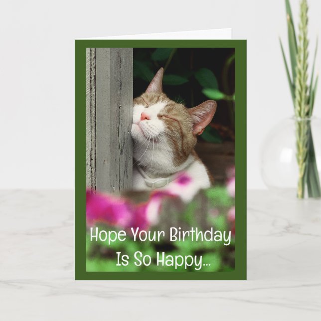 Happy Cat Birthday Card (Front)