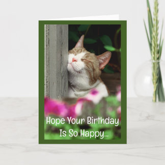 Happy Cat Birthday Card