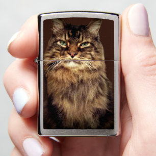 Happy Cat Brown Tabby Cat Funny Zippo Lighter