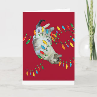 Happy Cat, Christmas Holiday Card