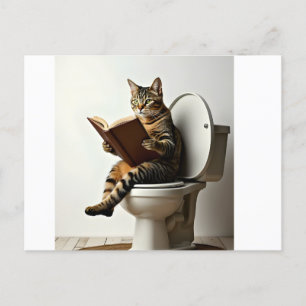 Happy Cat: Cute Kitten Design for Cat Lovers Holiday Postcard