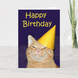 Cute Ginger Stick Cat Personalised Birthday Card