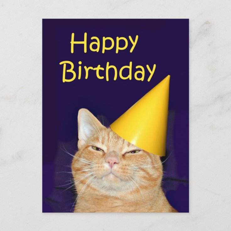 Happy cat Happy Birthday Postcard | Zazzle