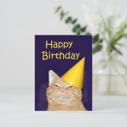 Happy cat Happy Birthday Postcard | Zazzle