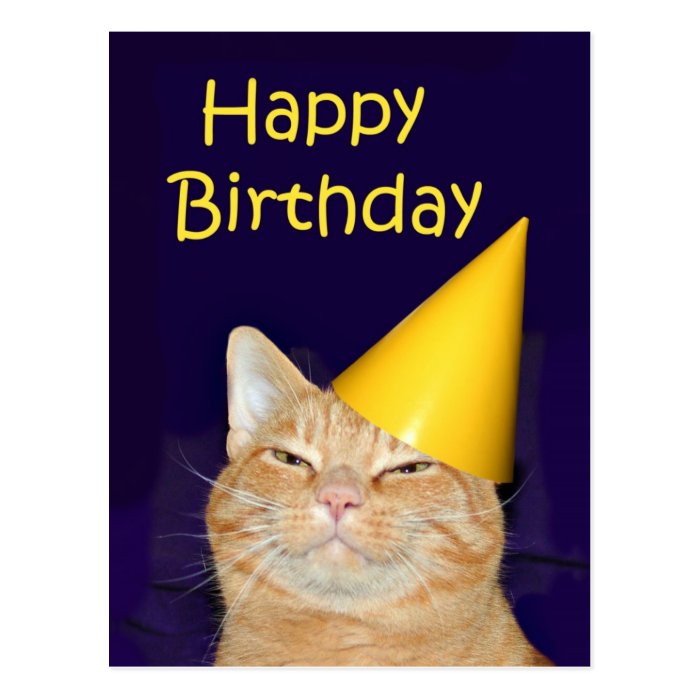 Happy cat Happy Birthday Postcards