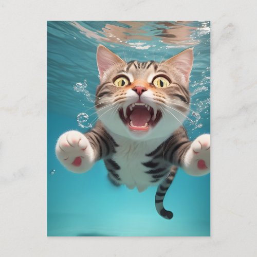 Happy Cat Jumping into Swimming Pool Funny Postcard