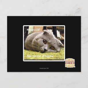 Happy cat, out of happy postcard