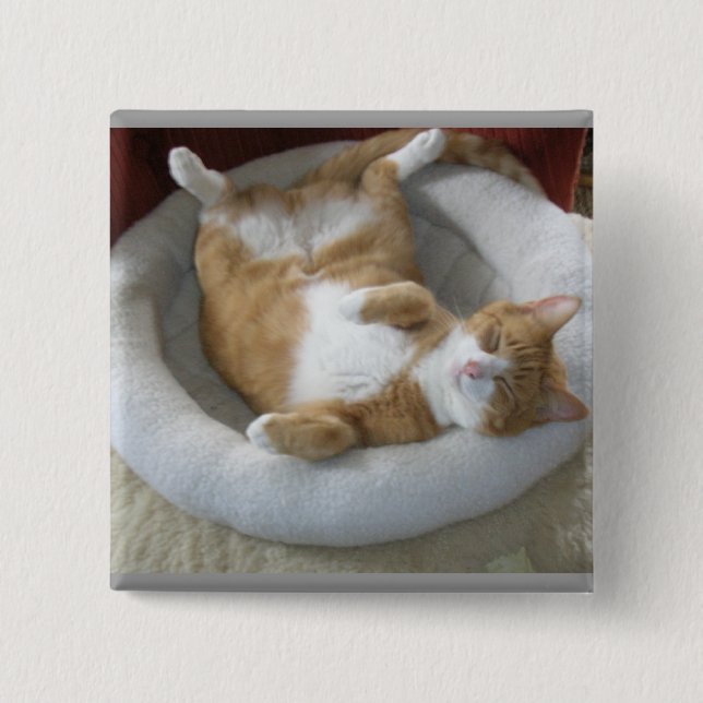Happy Cat Pinback Button (Front)