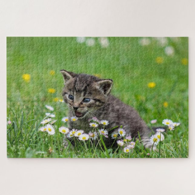 Happy cat playing with flowers jigsaw puzzle (Horizontal)