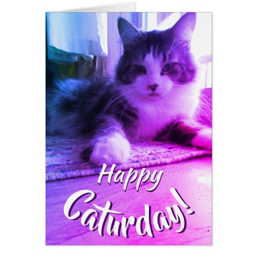 Happy Caturday Cute Purple Cat Cards (Front)
