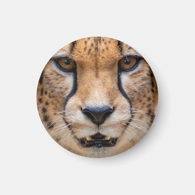 Happy Cheetah Magnet (Front)