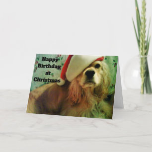 HAPPY CHRISTMAS BIRTHDAY FROM COCKER SPANIEL HOLIDAY CARD