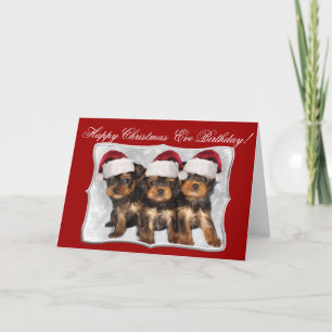 Happy Christmas Eve Birthday Yorkshire Terriers Holiday Card