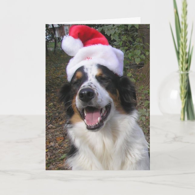 "Happy Christmas from Bryn" Holiday Card (Front)