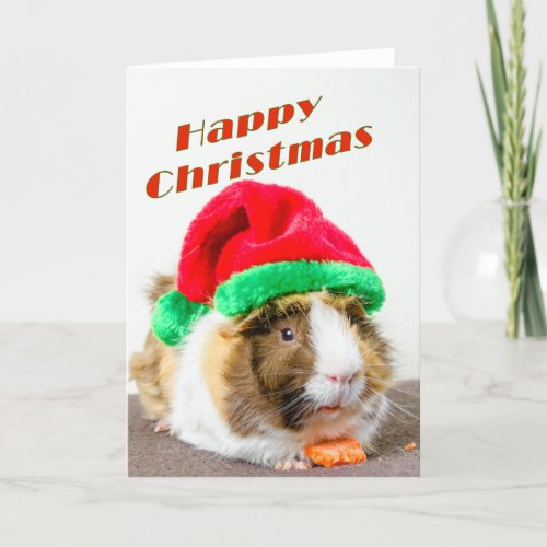 Happy Christmas from Scruffy Holiday Card