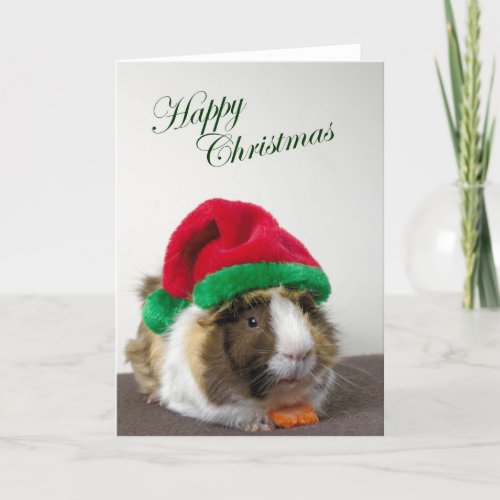 Happy Christmas from Scruffy Holiday Card