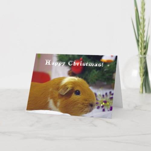 Happy Christmas guinea pig card