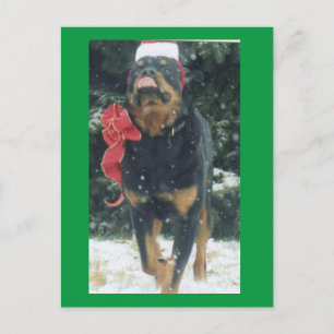 happy christmas rottweiler w/santa hat, bow, snow postcard