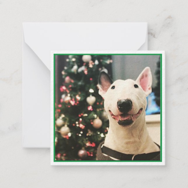 Happy Christmas Smiling Bull Terrier  Note Card (Front)