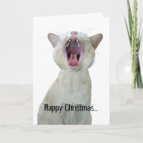 Happy Christmas to mew Holiday Card