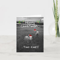 Happy Christmas Two Ewes Holiday Card