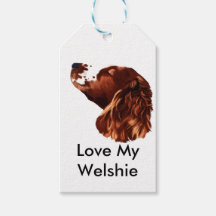 Happy Christmas Welsh Springer Spaniel