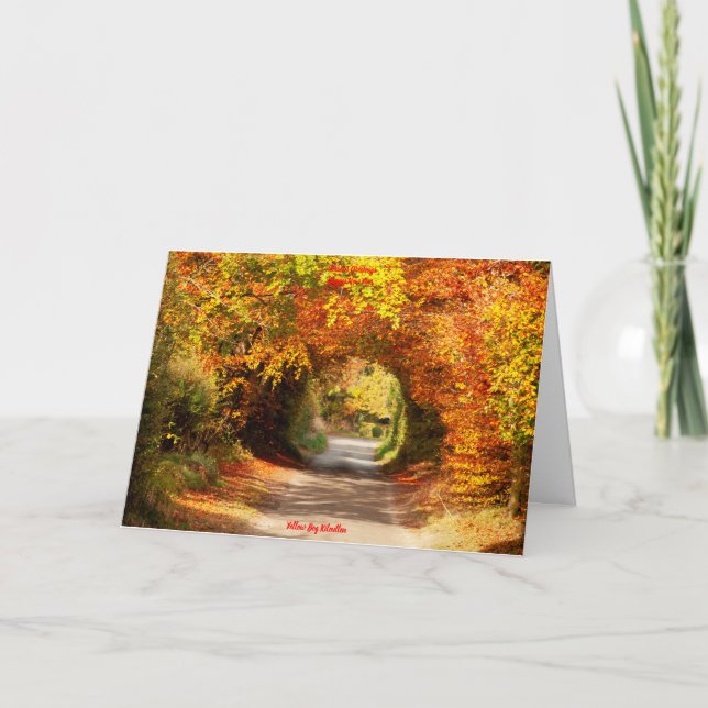 Happy Christmas Yellow Bog Kilcullen Card (Front)