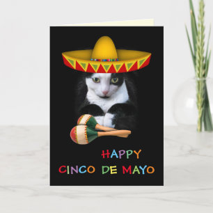 Happy Cinco De Mayo Cat Card