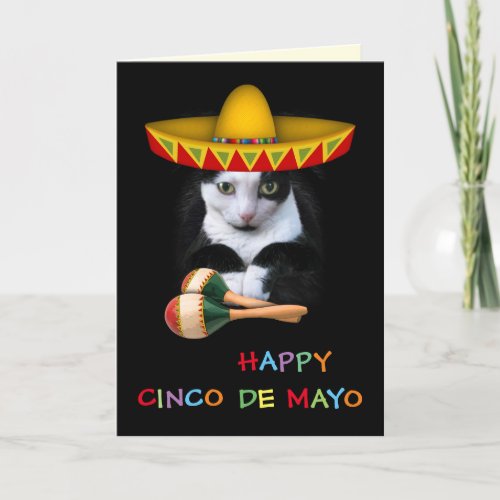 Happy Cinco De Mayo Cat Card
