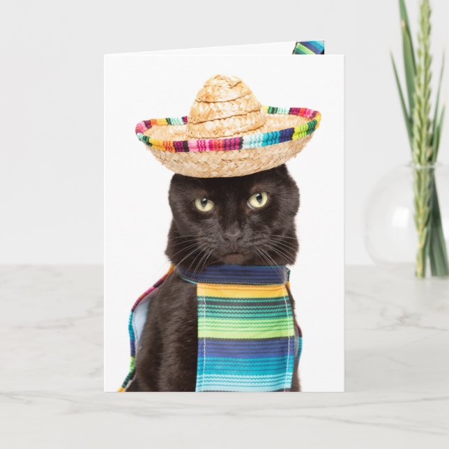 Happy Cinco De Mayo Cat in Sombrerro Humor Holiday Card (Front)