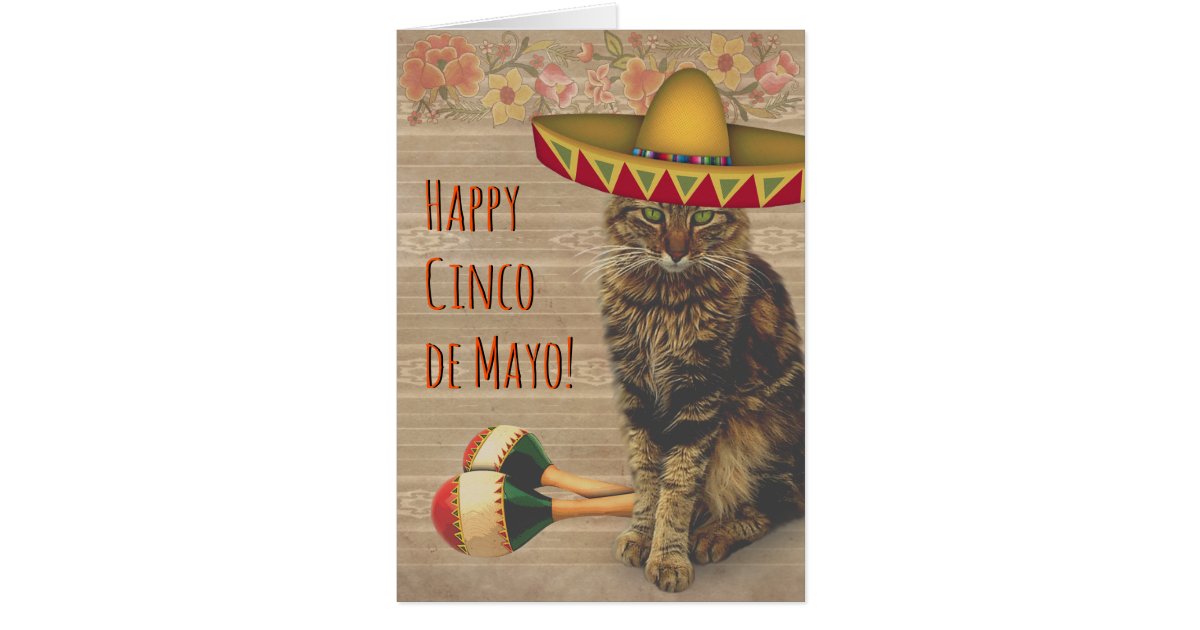 Happy Cinco De Mayo Cat With Mexican Hat Zazzle Com