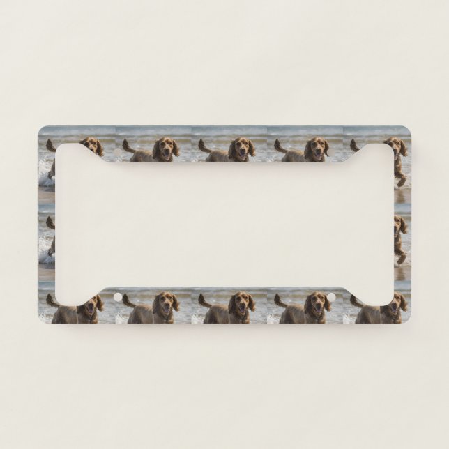 Happy Cocker Spaniel Beach Fun Day,  License Plate Frame (Front)