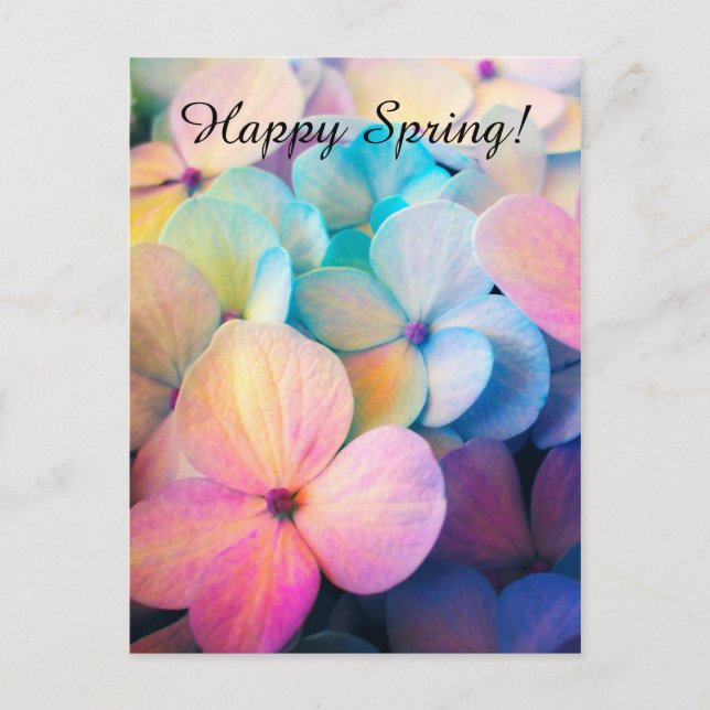 Happy Colorful Spring Flowers Postcard (Front)
