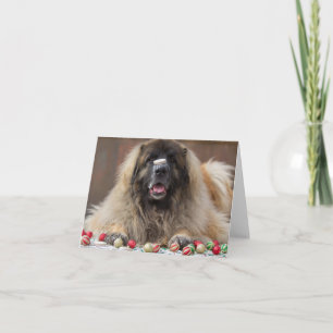 happy cookie Leonberger Holiday Card